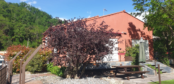 Offres de vente Maison Prats-de-Mollo-la-Preste (66230)